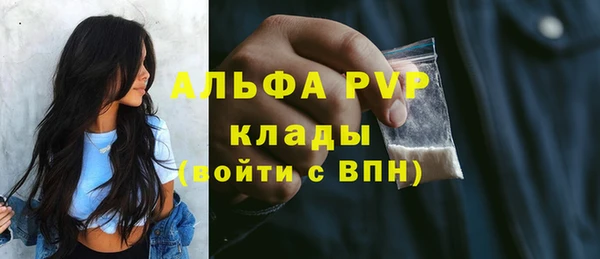 винт Вяземский