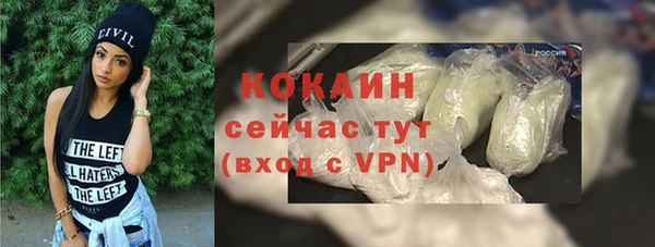 PSILOCYBIN Горно-Алтайск