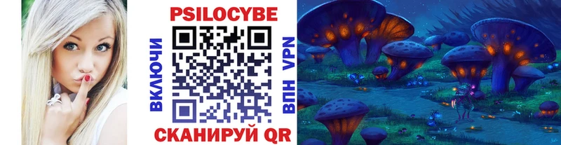 МЕГА как войти  Осташков  Галлюциногенные грибы Psilocybe 